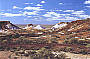 BOOMERANG (2 days Alice Springs to Adelaide)