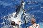 Up comes the Marlin