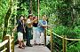 Explore the tropical rainforests on a Skyrail Ranger guided boardwalk tour.