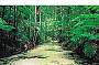Fraser Island 2 Day Wilderness Safari