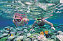 14 or 16 day Sydney to Cairns Flexi Touring