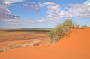 Vast Vistas of the Simpson Desert