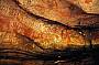 Rainbow Serpent art