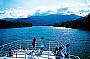 River cruise along Mulgrave River