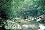 Mossman Gorge