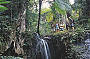 Cape Tribulation & Daintree Starter Pak Overnight Stays