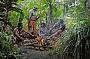 Pamagirri Aboriginal Experience at Rainforestation