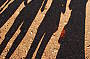 BOOMERANG (2 days Adelaide to Alice Springs)