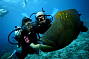 Moore Reef Cruise and Introductory Scuba Dive special 