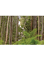 5 DAY 4WD/RV Victoria&rsquo;s Great Divide Discovery Package