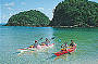 Cape Tribulation & Daintree Starter Pak Overnight Stays