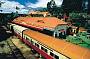 Ballooning + Skyrail + Kuranda + Train ex Cairns + Beaches