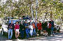 Up to 4 vehicles available for larger groups 