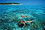 Green Island Half Day Tour plus Tjapukai by Night with City/Nthn Beaches Transfers