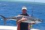 Spanish Mackerel