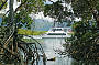 Cairns Habitat Cruise - PM Tour