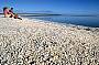 Shell Beach
