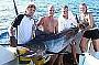 Catching Marlin