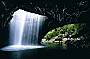 Natural Bridge cave at Springbrook Natinal Park