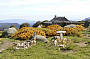 Craigs Hut