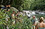 Cape Tribulation Day Tour