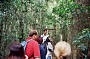 Lamington National Park Entrance