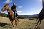 High Country Horse Riding
