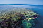 Snorkeling - Great Barrier Reef