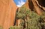 The Spirit Of Uluru