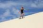 1 Day Moreton Island Wicked/Extreme Day Tour 