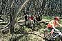 Mountain Biking
