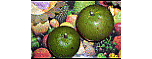 Tropical Fruit Tasting and sorbets