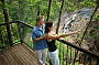 One Way Skyrail Rainforest Cableway Experience [from Skyrail's Caravonica Terminal]