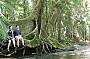 Fig Tree rest