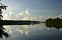 Daintree River East