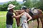 Cape Trib Horse Rides (Afternoon)