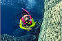 Scuba is best - Great Barrier Reef