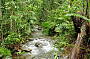 BLOOMFIELD FALLS - 4WD TOUR
