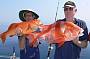 The best eating fish of the Top End !