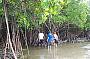 1 Day Aboriginal Daintree Dreaming Tour