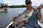 Cairns Estuary Lure Charters (full day)