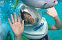 Great Barrier Reef Adventures