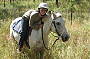 Hidden Valley Trail Rides 4 hour ride