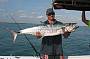 Mackerel