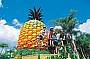 Big Pineapple