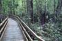 Mardja Boardwalk