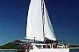 Our Whale & Dolphin Watch catamaran