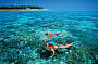Green Island Reef Cruise - Full Day 9am