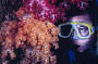 7 Day Perth to Exmouth return via Pinnacles, Kalbarri, Monkey Mia and Coral Bay