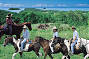 Horse Riding